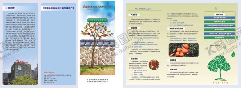 编号：46250710031627546607【酷图网】源文件下载-柿子折页