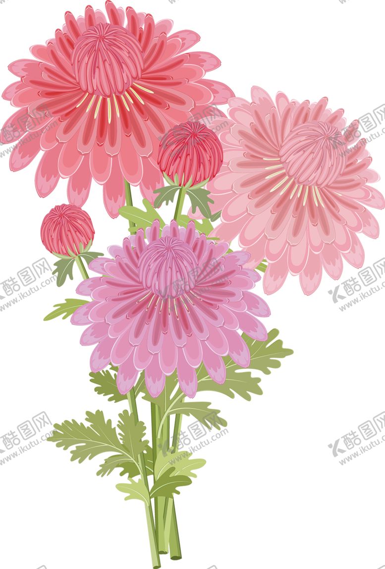 编号：31794006282256018026【酷图网】源文件下载-鲜花素材