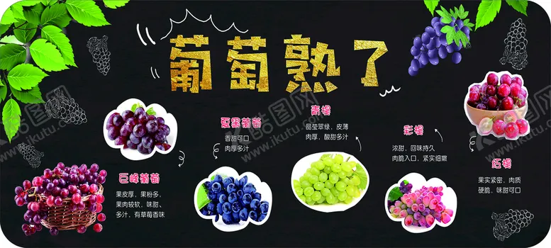 编号：67346501300404013922【酷图网】源文件下载-葡萄提子吊牌