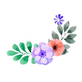 花素材装饰边纹唯美小清新朵