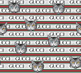 Gucci猫