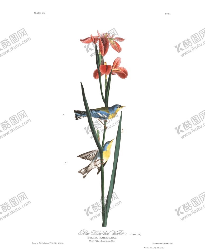 编号：17447612070151279825【酷图网】源文件下载-油画