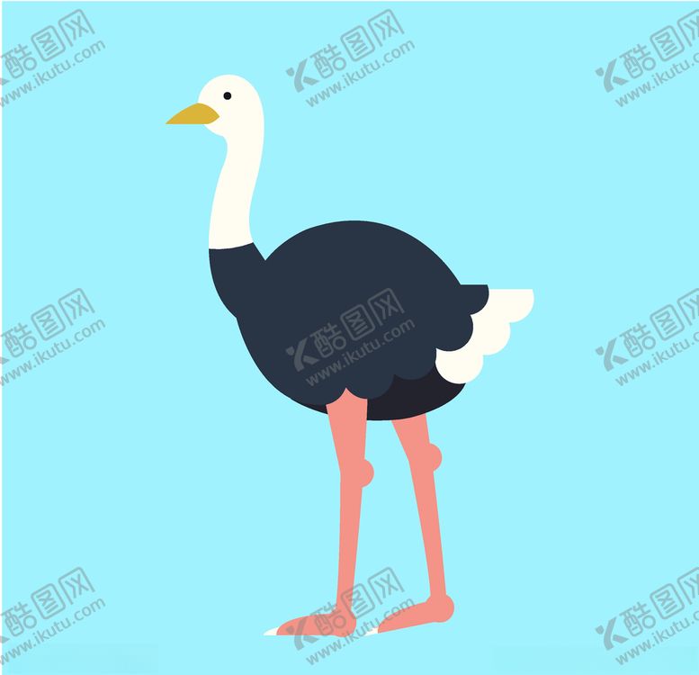 编号：92091609091509054223【酷图网】源文件下载-鸵鸟