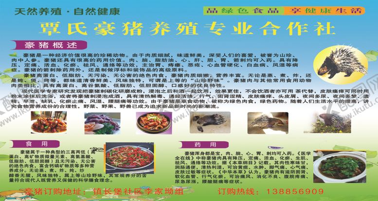 编号：26586409130505513414【酷图网】源文件下载-豪猪养殖