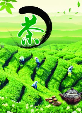 茶园