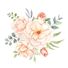 水彩花卉
