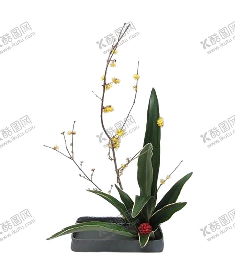 编号：17940307010057101578【酷图网】源文件下载-花艺