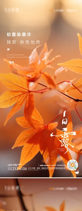 白露