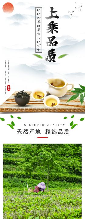 茶叶详情页图片