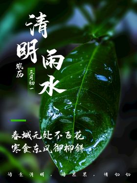 编号：36971009230200415329【酷图网】源文件下载-雨水 清明海报 谷雨 春天来了