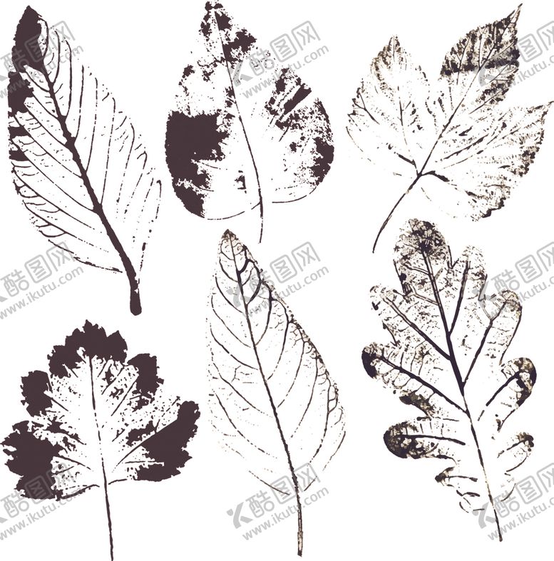 编号：57807704020846592887【酷图网】源文件下载-花卉标签