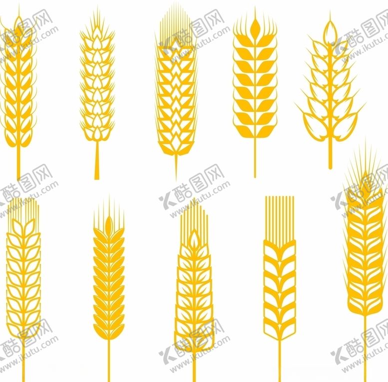 编号：71474309251504022211【酷图网】源文件下载-麦穗