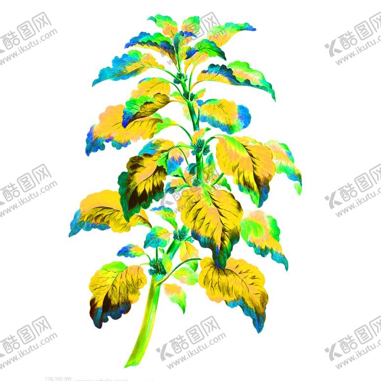 编号：78394110040154002995【酷图网】源文件下载-花素材