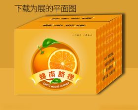 新鲜脐橙包装箱平面图