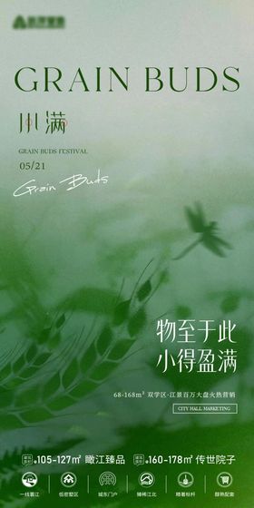 意境小满海报
