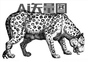 猎豹