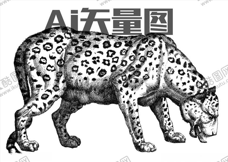 编号：10480010281153238029【酷图网】源文件下载-猎豹
