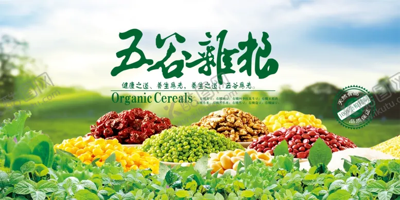 编号：68358604011708413951【酷图网】源文件下载-大米展板