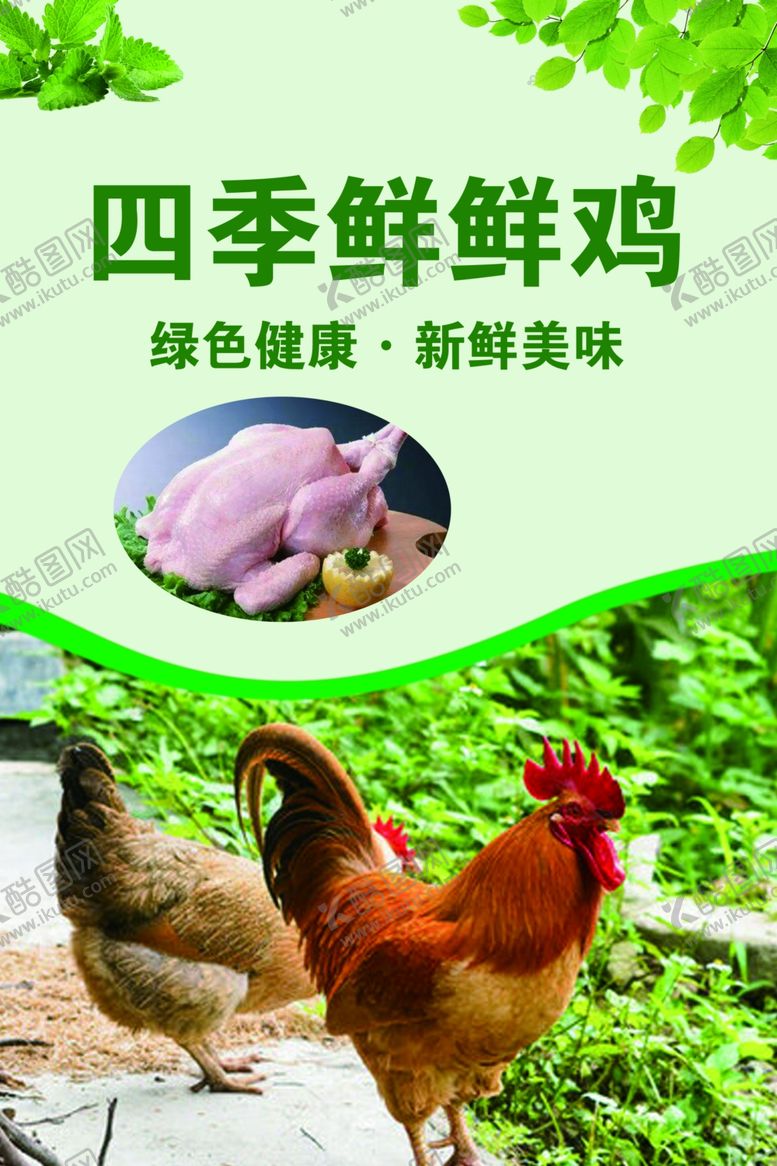 编号：23568502240512017694【酷图网】源文件下载-鸡海报