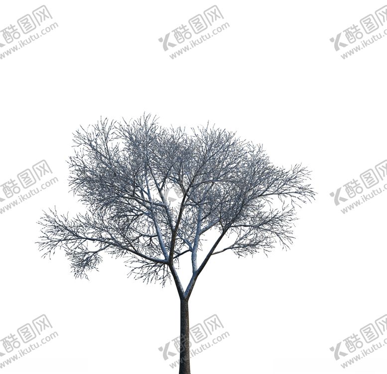 编号：14636107052122497884【酷图网】源文件下载-树木