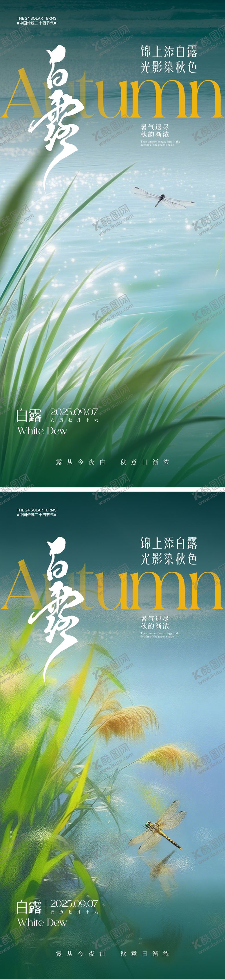 编号：25696308012303344370【酷图网】源文件下载-白露节气海报