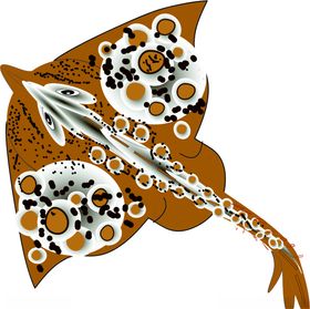 海洋生物