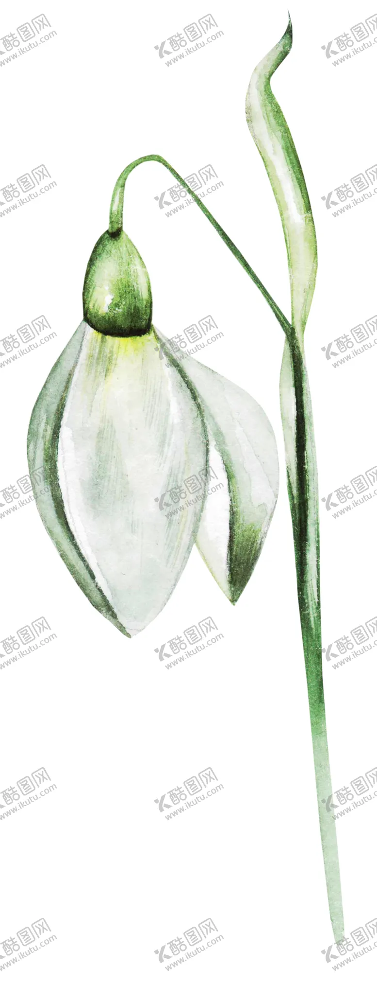 编号：61854806170853367483【酷图网】源文件下载-水彩绿叶绘画图案