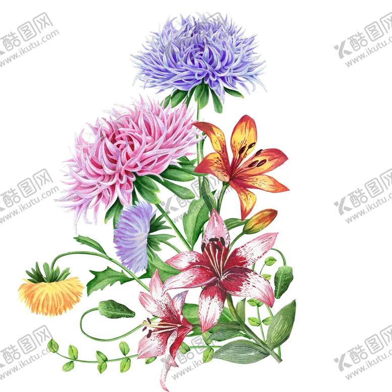 编号：37501210050804134751【酷图网】源文件下载-卡通手绘水墨菊花水彩花卉