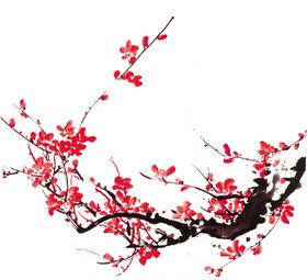 梅花素材