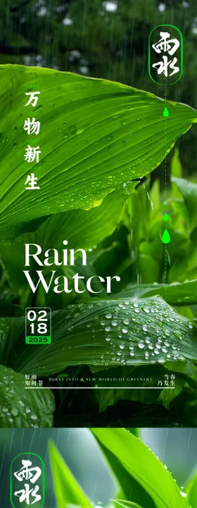 雨水