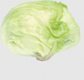 包菜
