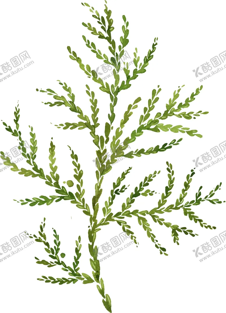 编号：83336603091823472753【酷图网】源文件下载-水彩植物