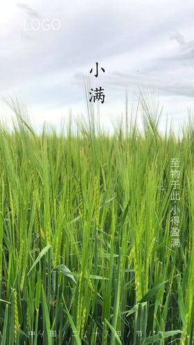 小满节气海报节气海报节气图