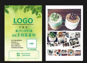 多肉植物宣传单