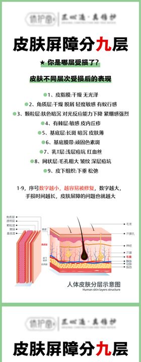 皮肤屏障知识