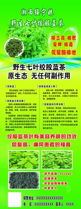 绞股蓝展架
