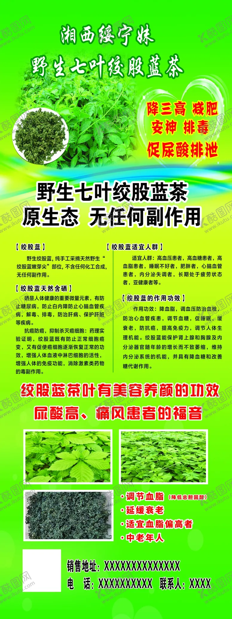 编号：22358306242239393470【酷图网】源文件下载-绞股蓝展架