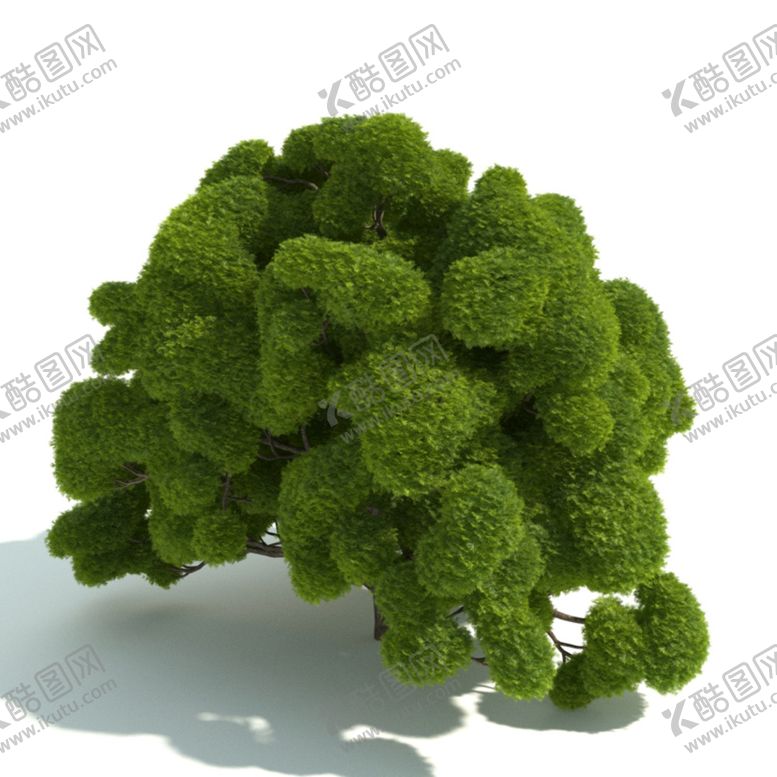 编号：60074101181731246764【酷图网】源文件下载-观赏植物