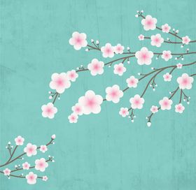 樱花