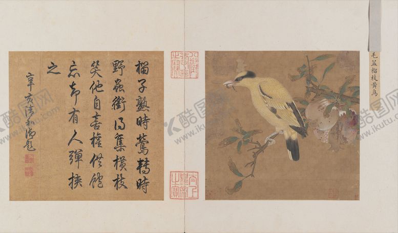 编号：06397209161725469436【酷图网】源文件下载-古代花鸟图