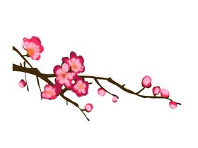 中国风水墨梅