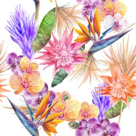 夏日水彩绘画花朵花圈