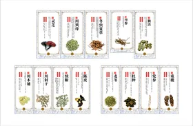 中药材介绍装饰