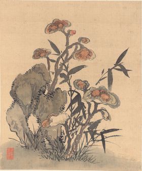 植物花鸟国画
