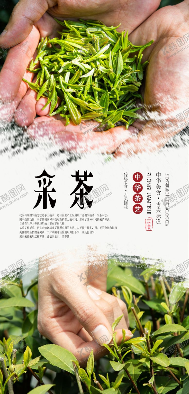 编号：57010309290952164473【酷图网】源文件下载-采茶海报