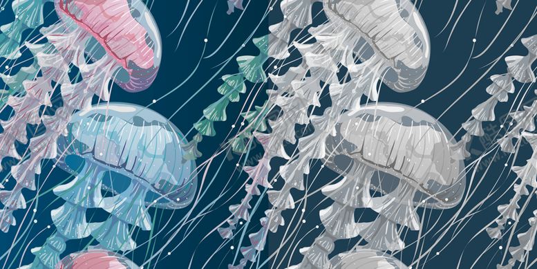 编号：32593903271818333488【酷图网】源文件下载-插画水母