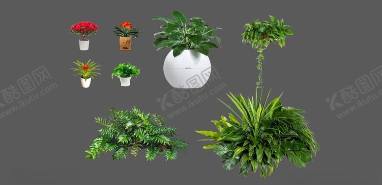 编号：34633801271608233034【酷图网】源文件下载-花卉绿植素材