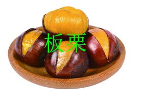 板栗栗子
