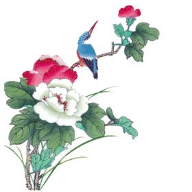 牡丹花