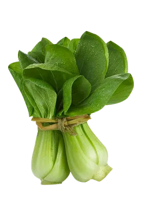 青菜